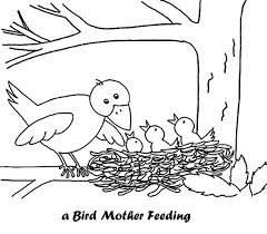 Your guide for all types of crafts. Mother Bird And Babies In Bird Nest Coloring Pages Bird Coloring Pages Free Coloring Pages Animal Coloring Pages