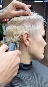 Diana Pitman (dlpitman)