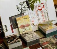 You will enjoy our unique mix and match system of pairing patterns and embellishments for a perfect composition every time. Pressed Flower Card Kit 8 Cards Envelopes Transp Windows Instructions New Ebay