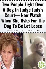 Two People Fight Over A Dog In Judge Judy S Court Now Watch When She Asks For The Dog To Be Let Loo In 2020 Dog Stories Animal Stories Judge