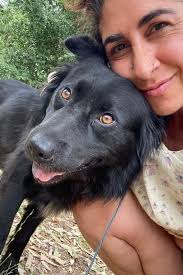 General 1 — ANIMALS EXPRESSIONS WT MICHELE NOVEMBRE