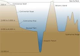 Abyssal Plain Wikipedia High School Earth Science Ocean Trench Ocean Science