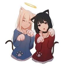 Pin Em Cat