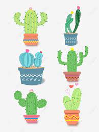 cartoon cartoon cactus cactus plant การ ต น การ ต นกระบองเพชร ต น กระบองเพชรภาพ png และ เวกเตอร สำหร บการดาวน โหลดฟร ในป 2020 ภาพประกอบ ส น ำ กระถางดอกไม