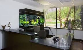 Check spelling or type a new query. 26 Office Decor Ideas Fish Tank Design Office Decor Office Design