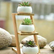 ∙ promo pengguna baru ∙ kurir instan ∙ bebas ongkir ∙ cicilan 0%. Rak Tanaman Mini Planting Gardening Pot Kaktus Succulent Shelves Shopee Indonesia