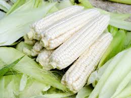 Maybe you would like to learn more about one of these? White Corn Nutrition Uses Organic Facts