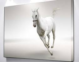 Black And White Canvas Pictures Uk Large Canvas Wall Art Canvas Print Home Decor By Canvashere Www Canvashere Co Uk Canvas Canvasprint Canvasprints Wallart Decoration Homedecor Decoration