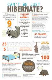 Can T We Just Hibernate Hibernation Early Learning Advanced Learning