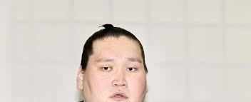 Rules and Representations|CHOMSKY.