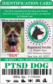 Download and follow the instructions (pdf) for applying for a service dog license. Ptsd Service Animal Id Tag Ptsd Service Dog Id Card Dogs 582 Collars Harnesses Leashes