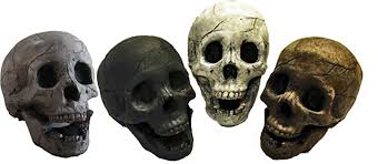Dragon skull,set of 2, fire pit, winter decore, shrine or wiccan decore, fire proof,macabre, 'inspired' by nasa refractory brick freelancer2025 3.5 out of 5 stars (12) Human Skull Fire Logs The Blog At Fireplacemall