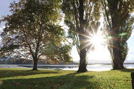 The winter solstice occurs at 10.34am when the sun's position in the sky reaches its farthest point during the winter solstice there is no sunlight at all south of the antarctic circle; Sunlive Days To Start Getting Longer In A Month The Bay S News First