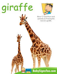 Baby Signs Poster Giraffe Baby Signs Baby Sign Language Sign Language Chart