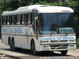Esporte clube tigres do brasil is a brazilian football team from the city of duque de caxias, rio de janeiro state, founded on january 19, 2004. Tigres Do Brasil Futebol Clube Sn Em Duque De Caxias Rio De Janeiro Brasil Por Gabriel Petersen Gomes Onibus Brasil
