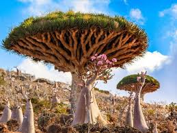 Astaka morocco terletak bersebelahan dengan taman botani ini. 5 Tempat Menarik Di Negara Islam Yang Mungkin Tidak Pernah Anda Dengar Islam Itu Indah