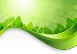 Karena background putiih keren yang anda gunakan sudah dominan, perkuat lagi dengan dengan penambahan warna yang sama. Unduh 5200 Koleksi Background Hijau Herbal Hd Paling Keren Download Background