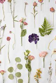 10% coupon applied at checkout save 10% with coupon. Pressed Flower Ideas From A Hallmark Workshop Think Make Share