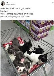 Check spelling or type a new query. 21 Marriage Memes That Are 100 True And 100 Funny