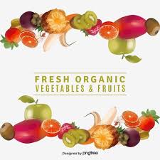 Fruit Sketch Beautifully Fresh Vegetables Png And Psd Fruit Sketch Vegetable Cartoon Fruit Design