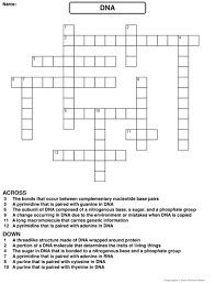 Turns an unsecure link into an anonymous one! Dna Crossword Puzzle Teaching Resources