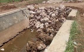 Petani atau sp) merupakan sebuah bandar yang terbesar di negeri kedah darul aman berbanding alor setar. Sungai Petani Daerah Mana