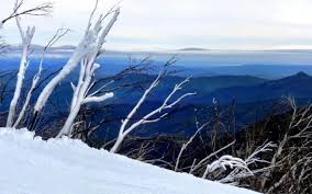 Find what you need at booking.com, the biggest travel site in the world. Skiing At Mt Buller Australia A Victoria Ski Resort
