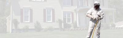 Richmond, va, is home to thousands of people and thousands more pests. Pest Control Midlothian Va Termite Inspections Richmond Va Exterminator