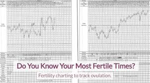 Do You Know Your Most Fertile Times Aim Womens Wellness