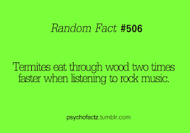 Not Sure Why This Made Me Laugh But It Did Psychology Humor Quotes Wtf Fun Facts Facts