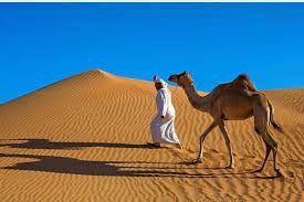 With rayna tour's morning desert safari with camel riding, get set for a morning tour of enthusiasm, magic and mystery, deep into the heart of dubai's. Spacetraveller Activity Morning Desert Safari With Camel