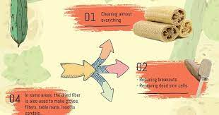 Ecoplanet Goeco Zerowaste Amazingloofah Lessplasticmoreplanet Protectearthprotectus Body Massage Dead Skin Cells Loofah