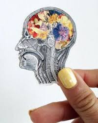 Brooklyn Carpenter (brooklyncarpenter)