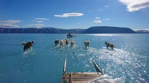 greenlands unusual melting sea ice captured in stunning