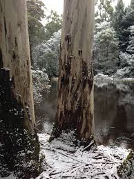Mount Macedon Just Up The Hill From Woodend Victoria Australia Adventure Travel Macedon