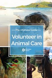 Volunteer With Animals Volunteering With Animals Volunteer Travel Places To Volunteer