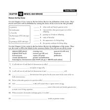 Answer key 1 exercise 8 (p. Mendel And Meiosis Worksheet For 9th Higher Ed Lesson Planet
