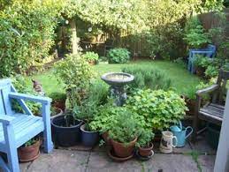 One thing i'm excited about is that there will be no ads. Gardening Blogs The Small English Garden By Dr Dinah Parums