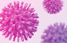 The human immunodeficiency viruses (hiv) are two species of lentivirus (a subgroup of retrovirus) that infect humans. Hiv Lifecycle Aidsmap