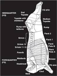 Now, on a cow, there are eight primal cuts. Diagram Showing The Beef Primal Cuts Used In This Study Full And Download Scientific Diagram