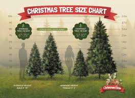 3 easy steps to choosing the perfect christmas tree