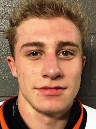 Dales scores four goals in Northville's 8-0 hockey win over Novi