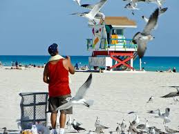 Toll free (us & canada) worldwide numbers. 16 Best Miami Beaches To Check Out For A Glorious Beach Day
