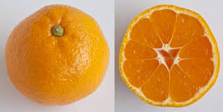 Sambil kupas limau, kita kupas juga maksud disebalik limau mandarin di tahun baru cina dan mengapa ianya menjadi pilihan. Sebelum Beli Wajib Tahu Jenis Jenis Limau Mandarin Yang Sedap Impiana