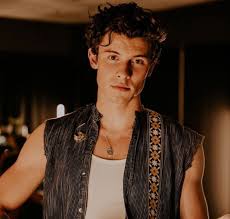 Shawn Mendes Wiki Girlfriend Height Age Family Biography More Famous People Wiki Instagram facebook twitter youtube tiktok vk wikipedia. shawn mendes wiki girlfriend height