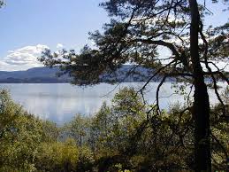 Discover the best of ringerike so you can plan your trip right. Ringerike Traditional District Wikipedia