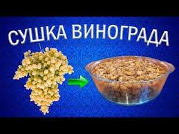 что можно сушить в сушилке для фруктов и овощей Kak Prigotovit Izyum Iz Vinograda Kishmish Sushilka Dlya Ovoshej I Fruktov Ezidri Youtube Idei Dlya Blyud Eda Kulinariya