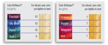 Ion Hair Color Formulation Chart Best Picture Of Chart