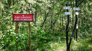 It covers an area of 46.13 square kilometres of forests. Bory Tucholskie Nationalpark Charzykowy Touristenattraktionen Tropter Com