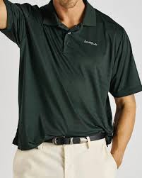 Image result for Dark Polo Green 2002 LeSabre